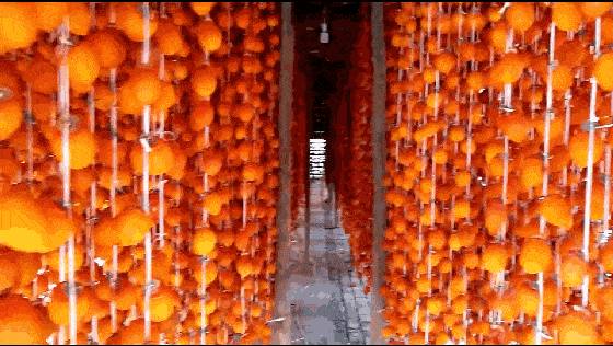 14.gif