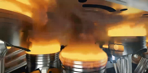 10.gif