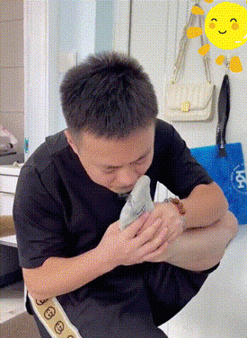 13.gif